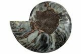 Cut & Polished Ammonite Fossil (Half) - Unusual Black Color #286647-1